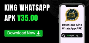 King WhatsApp APK