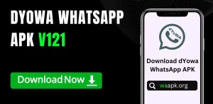 dYowa WhatsApp APK